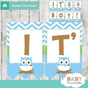 printable blue owl personalized baby shower banner