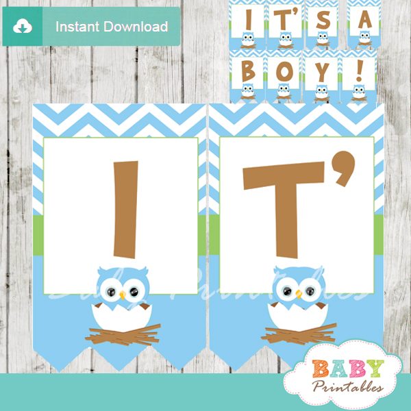 Blue Owl Baby Shower Banner D121 Baby Printables