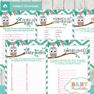 Mint Green & Pink Owl Baby Shower Games - D126 - Baby Printables