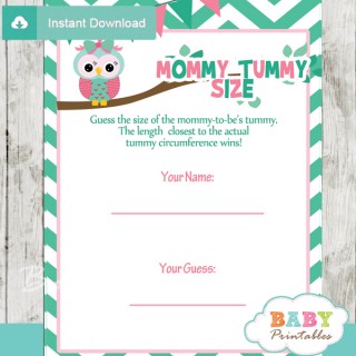 Mint Green & Pink Owl Baby Shower Games - D126 - Baby Printables