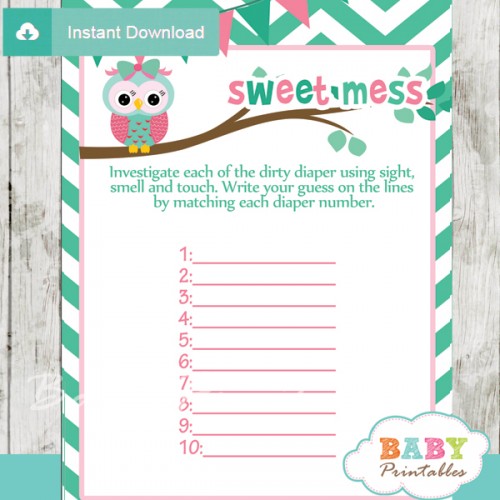 Mint Green & Pink Owl Baby Shower Games - D126 - Baby Printables