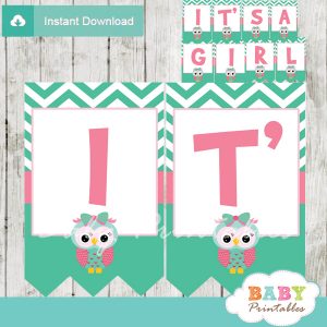 printable pink and mint green owl personalized baby shower banner