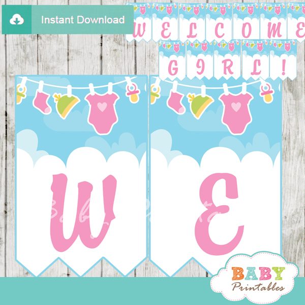 Pink Green Baby Girl Clothes Baby Shower Banner D152 Baby